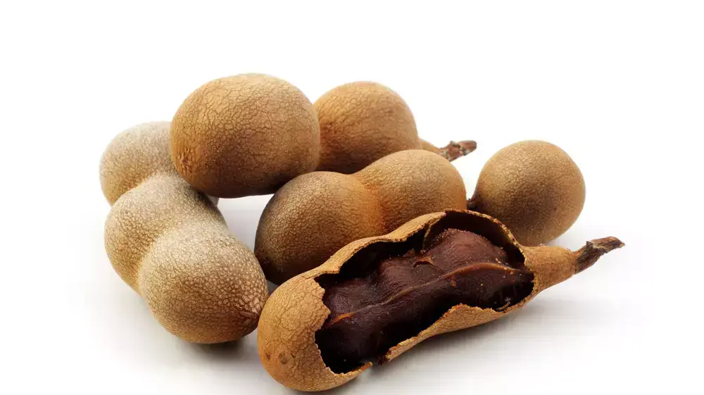 תמרהינדי תמרהינדי