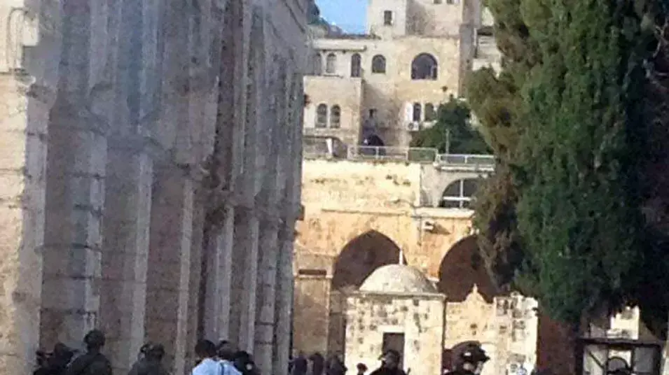 התפרעויות במסגד אל אקצה בהר הבית, נובמבר 2014 התפרעויות במסגד אל אקצה בהר הבית, נובמבר 2014