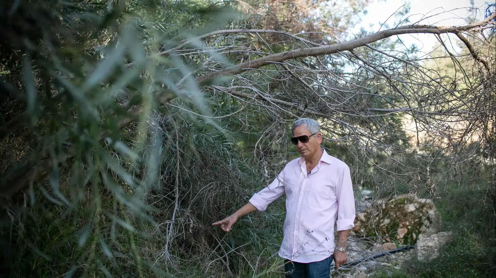קצין משטרה בדימוס שאול נעים בזירת הרצח של נועה אייל, ירושלים. נובמבר 2014 קצין משטרה בדימוס שאול נעים בזירת הרצח של נועה אייל, ירושלים. נובמבר 2014