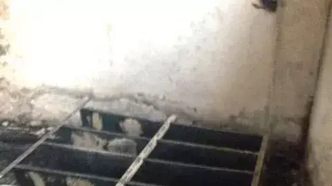 מסגד הוצת הבוקר על ידי מתנחלים בכפר אל-מורייר, שמצפון-מזרח לרמאללה, נובמבר 2014 מסגד הוצת הבוקר על ידי מתנחלים בכפר אל-מורייר, שמצפון-מזרח לרמאללה, נובמבר 2014