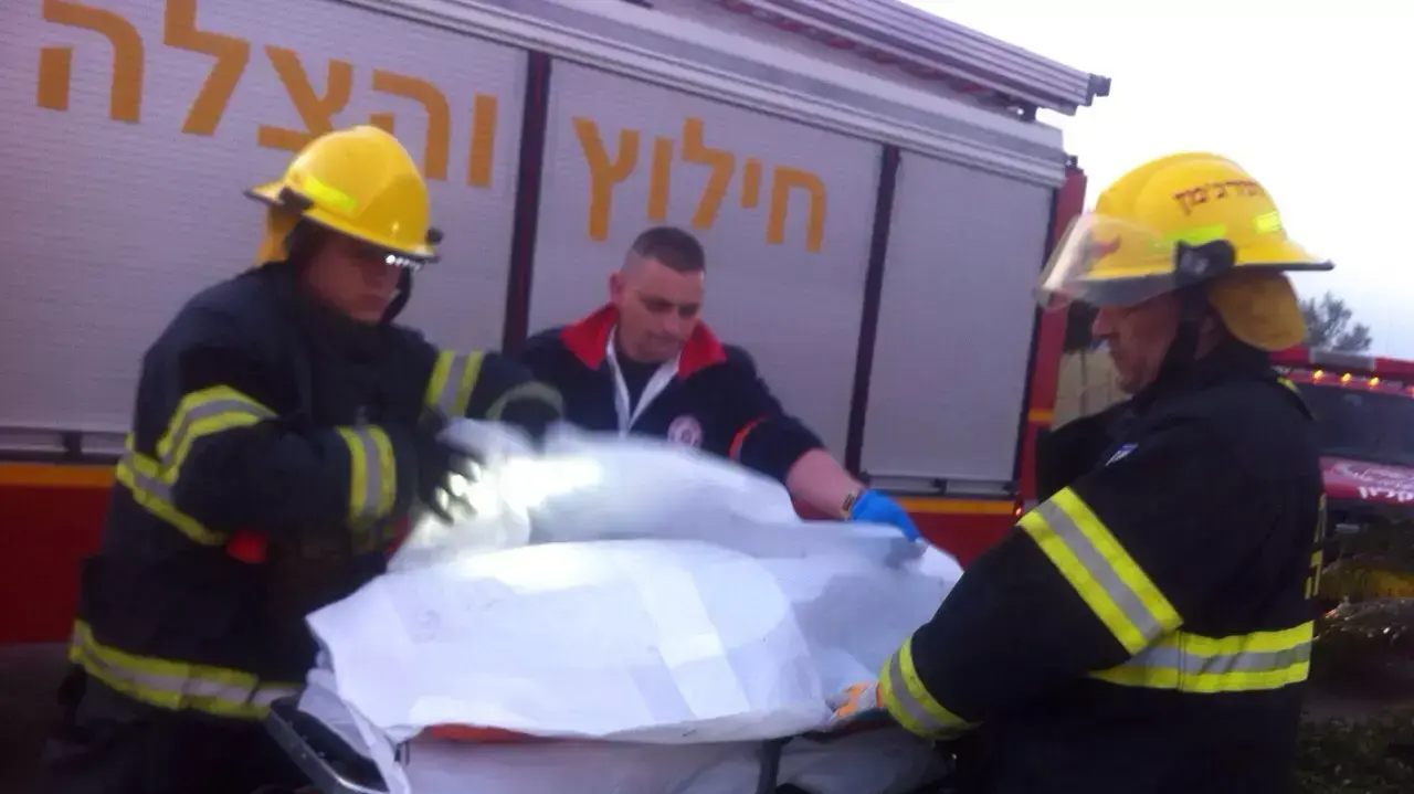 הרוג ופצוע קשה בהתנגשות בעץ בעיר אשקלון הרוג ופצוע קשה בהתנגשות בעץ בעיר אשקלון