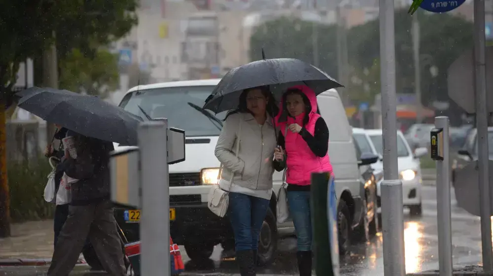חורף בפתח תקווה, נובמבר 2014 חורף בפתח תקווה, נובמבר 2014