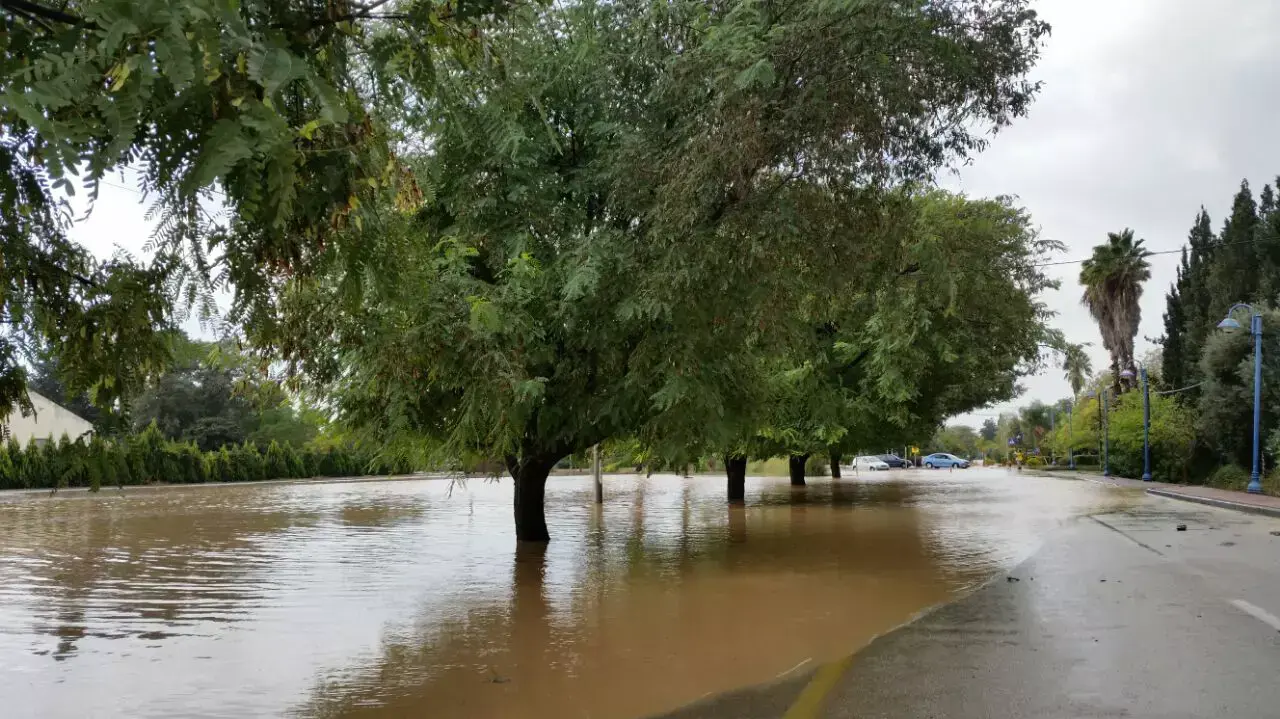 הצפות במושב גיאה בדרום, נובמבר 2014 הצפות במושב גיאה בדרום, נובמבר 2014