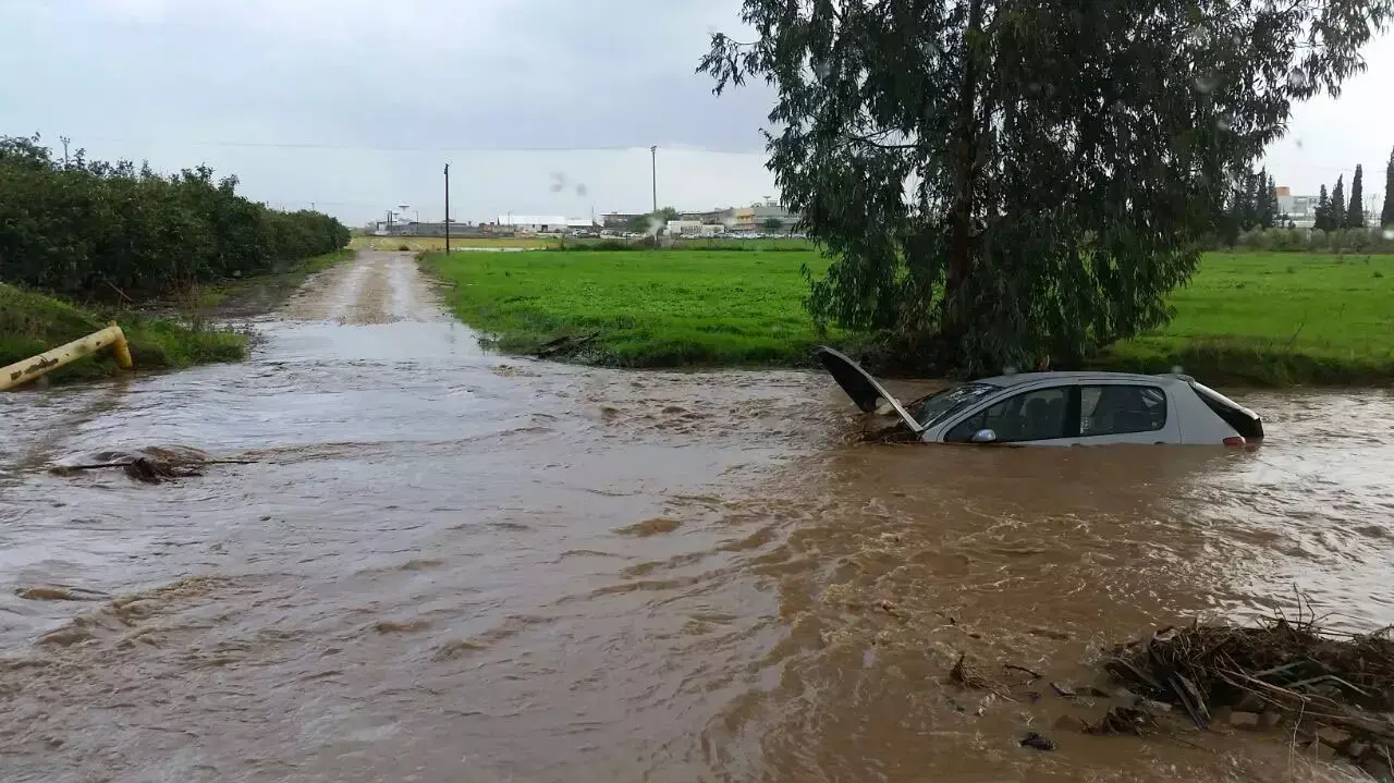 גשם במושב מגשימים גשם במושב מגשימים