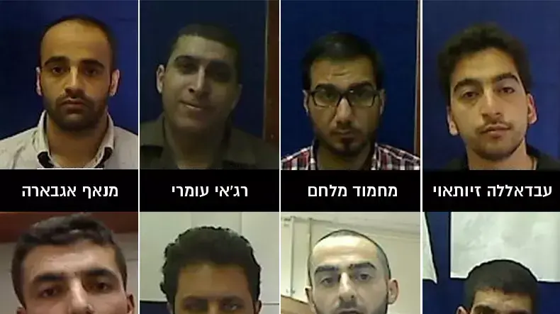פעיל חמאס פעיל איו"ש שב"כ טרור פעיל חמאס פעיל איו"ש שב"כ טרור