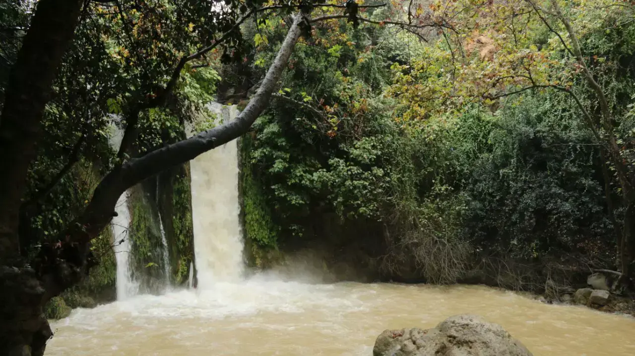 שמורת טבע הבניאס של רשות הטבע והגנים שמורת טבע הבניאס של רשות הטבע והגנים
