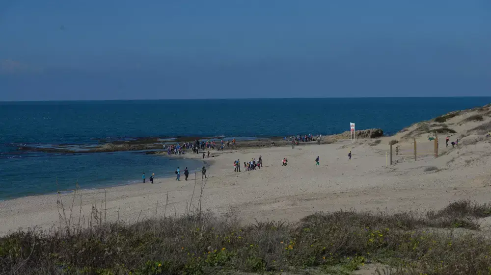 חוף פלמחים, נובמבר 2014 חוף פלמחים, נובמבר 2014