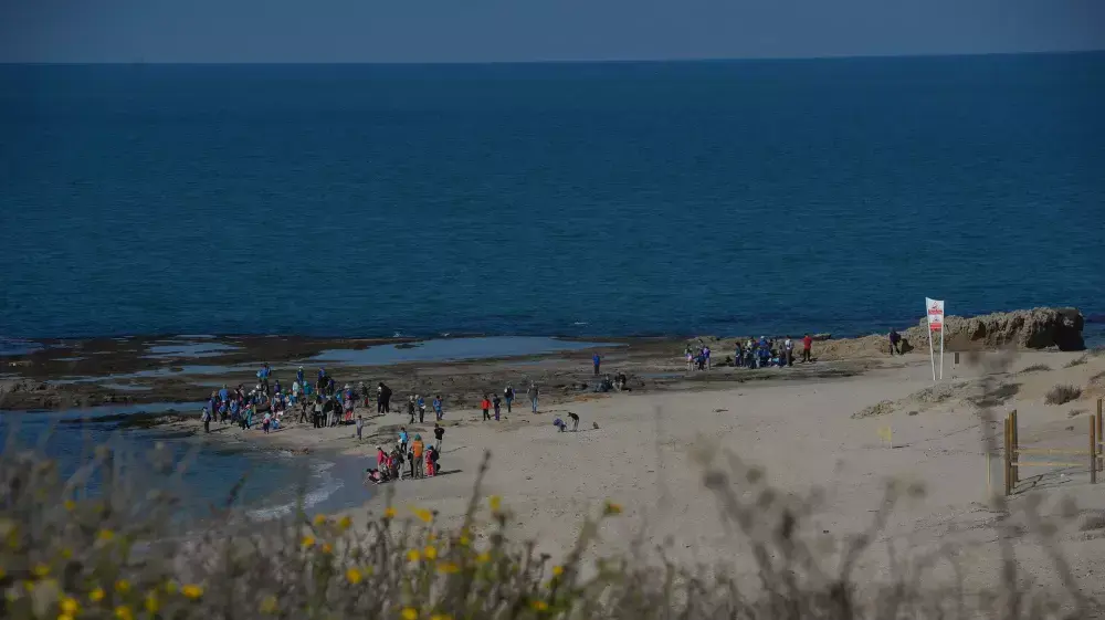 חוף פלמחים, נובמבר 2014 חוף פלמחים, נובמבר 2014