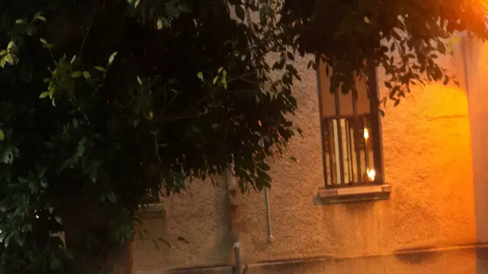 כתובות נאצה על בית הכנסת של ארגון רבני צהר, תל אביב, נובמבר 2014