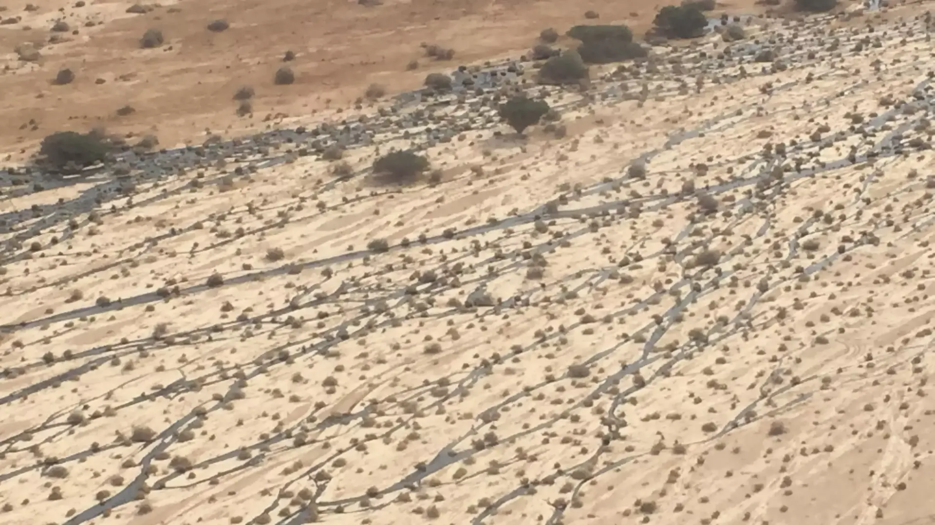 דליפת הנפט ליד באר אורה, באזור כביש הערבה דליפת הנפט ליד באר אורה, באזור כביש הערבה