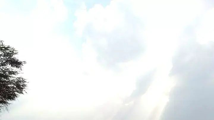 דליפת הנפט בעברונה, דצמבר 2014