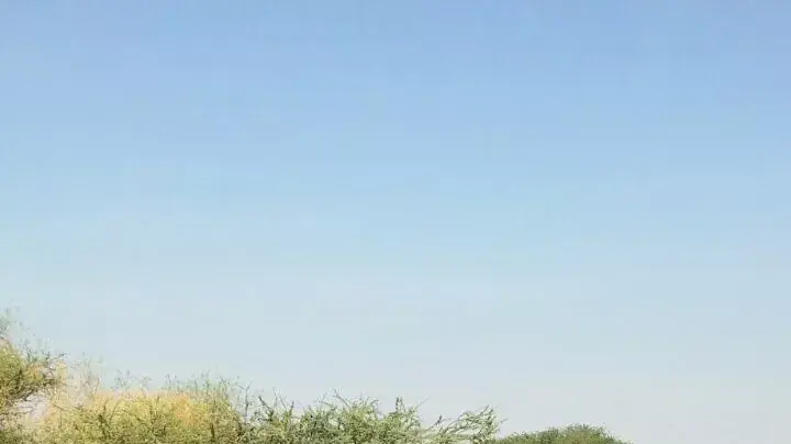 דליפת הנפט בעברונה 10.12.2024 דליפת הנפט בעברונה 10.12.2024