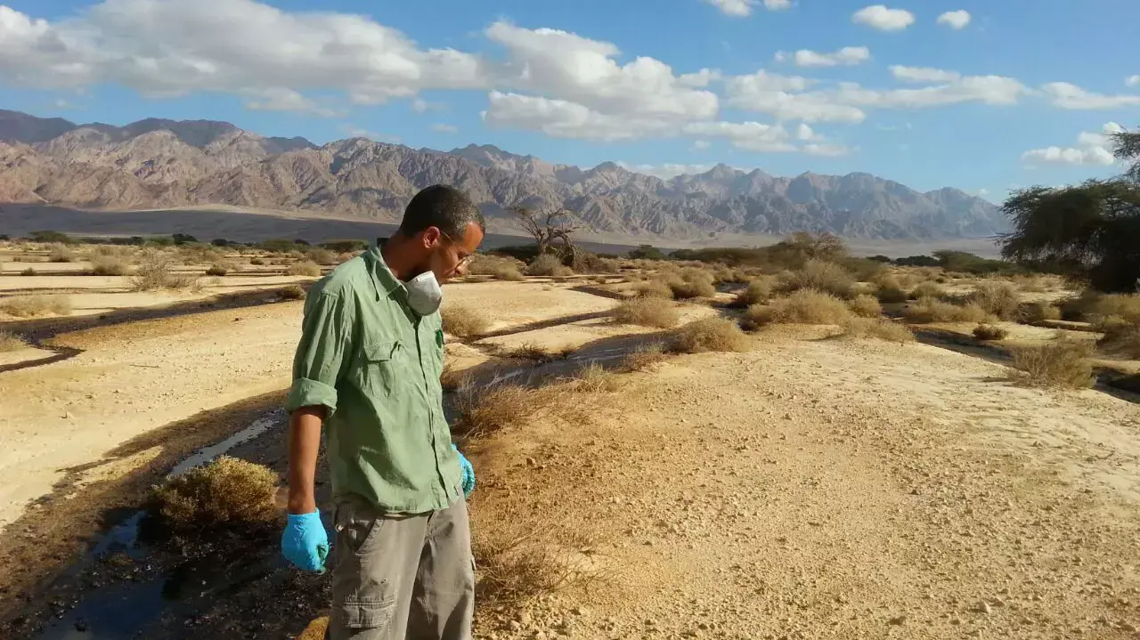 נפט בעברונה נפט בעברונה