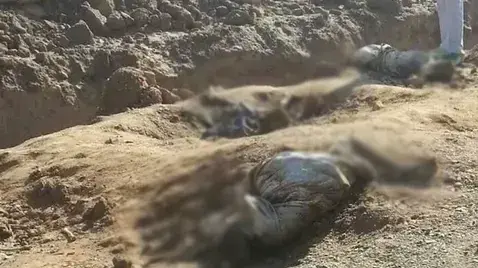 230 גופות שכנראה נרצחו בידי דאעש התגלו בקבר המוני בסוריה, 17 בדצמבר 2014
