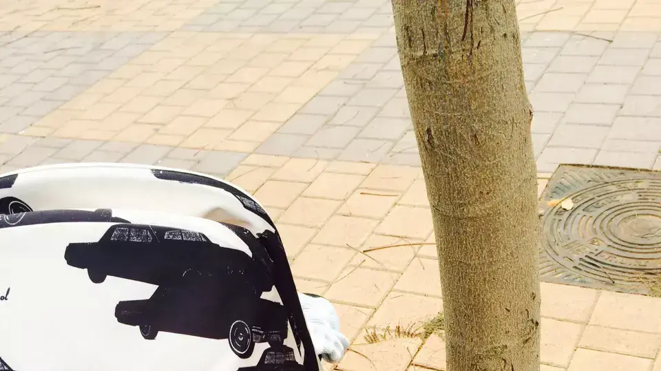 לבלוג של נועה הנדין לבלוג של נועה הנדין