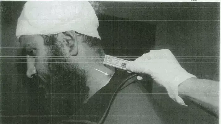 נמרוד אילוז נמרוד אילוז