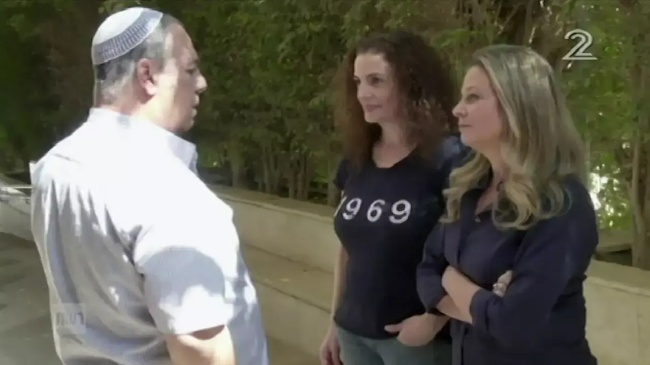 המערכת המערכת