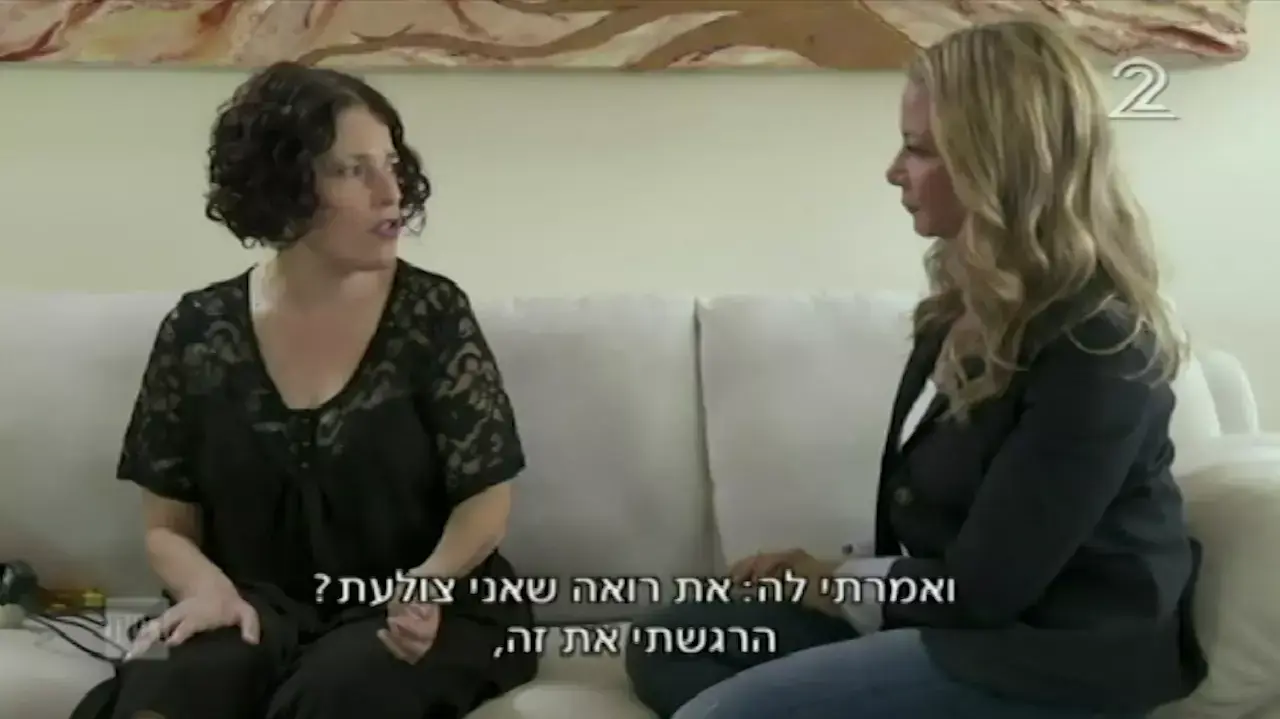 המערכת המערכת