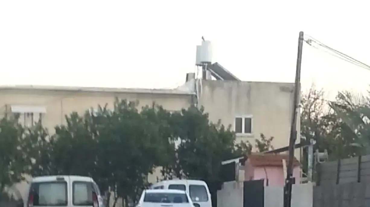 ראש עיריית אור יהודה שיפץ את הרחוב שבו רכש בית חדש ראש עיריית אור יהודה שיפץ את הרחוב שבו רכש בית חדש