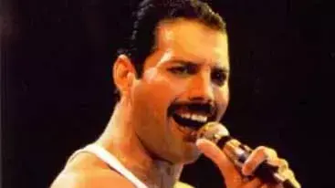 פרדי מרקורי