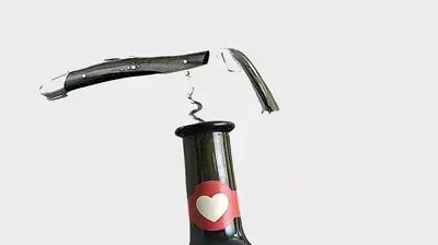 חגיגות הבוזולה בקניון שבעת הכוכבים חגיגות הבוזולה בקניון שבעת הכוכבים