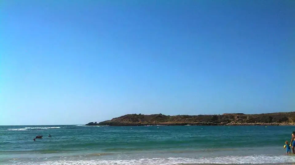 חוף נחשולים 2013 חוף נחשולים 2013