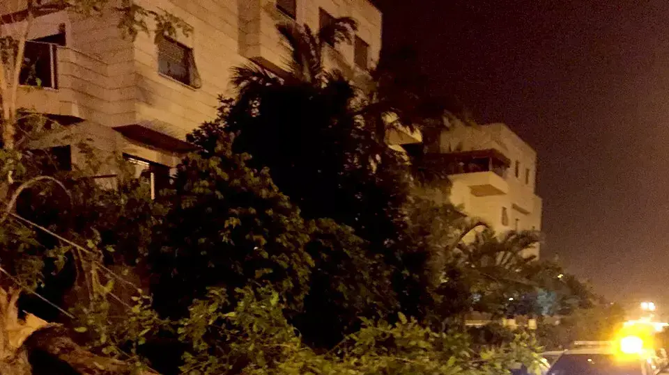 עץ קרס בשל הסערה בראשון לציון, ינואר 2015 עץ קרס בשל הסערה בראשון לציון, ינואר 2015