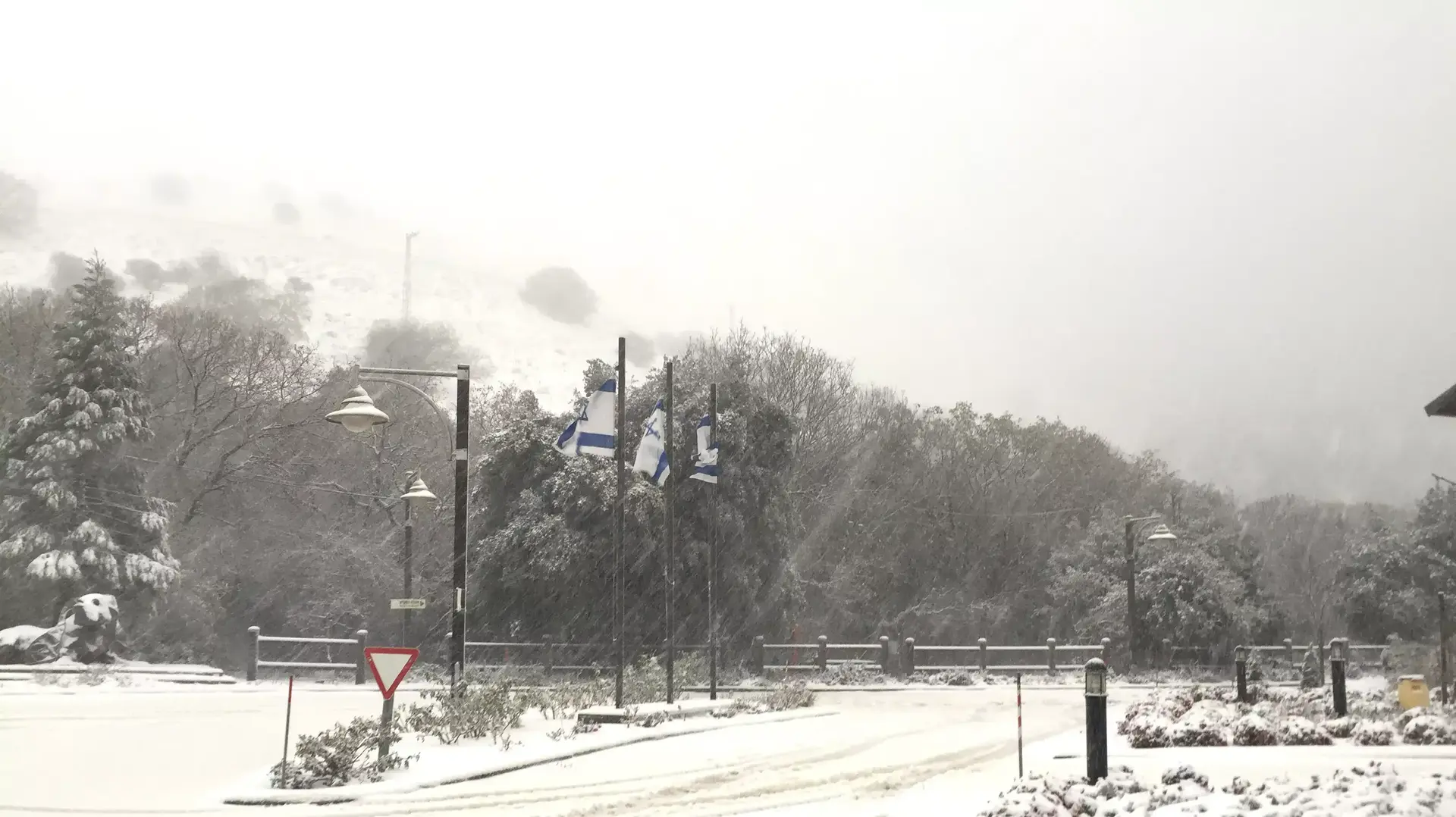 שלג במרום גולן, ינואר 2015 שלג במרום גולן, ינואר 2015