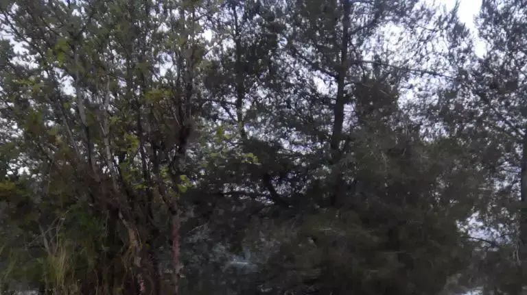 תאונת דרכים קטלנית ליד צור הדסה, ינואר 2015