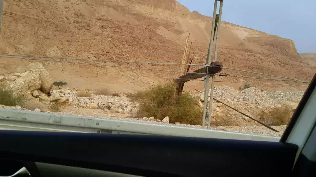עמוד חשמל שקרס בכביש 90 עמוד חשמל שקרס בכביש 90