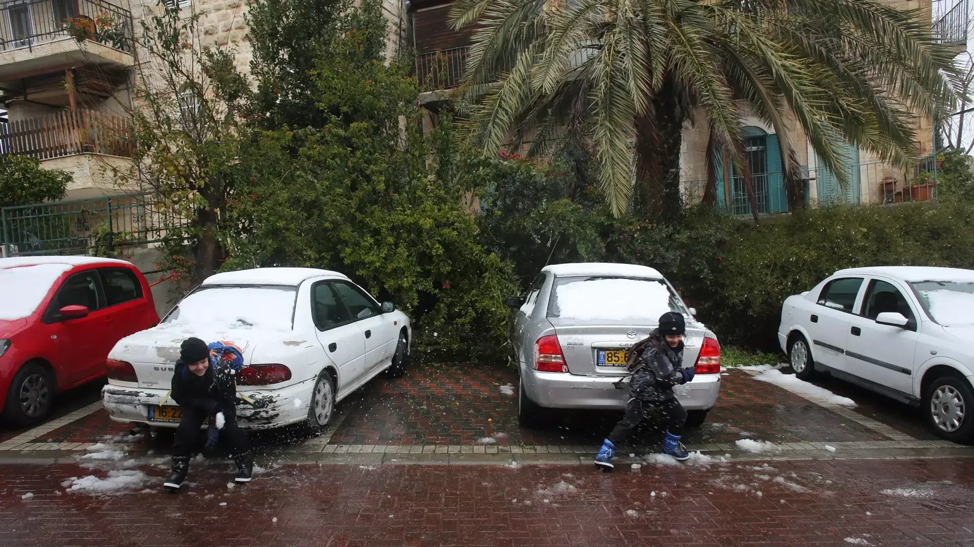 שלג בבירה שלג בבירה