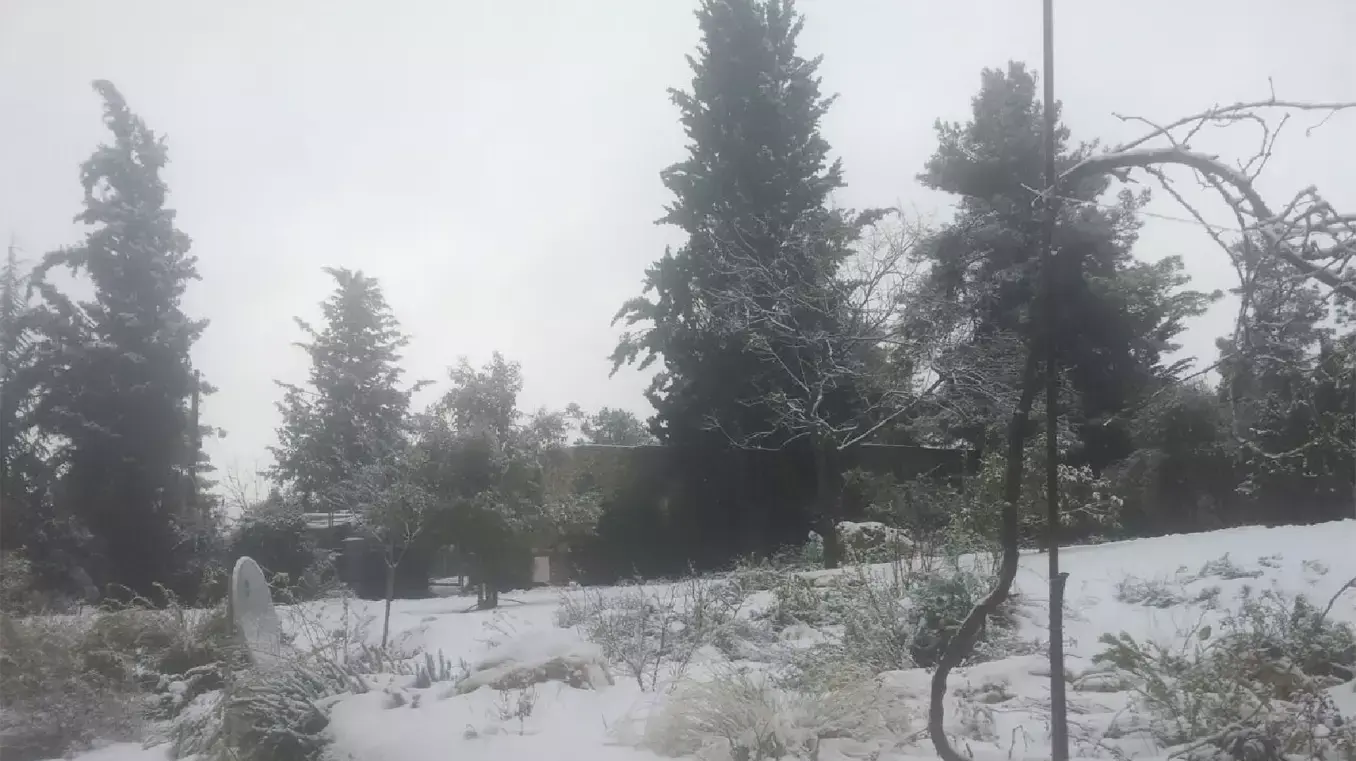 שלג בכפר עציון שלג בכפר עציון
