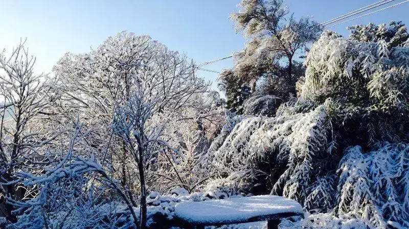 מבשרת ציון בשלג, 10.01.2015 מבשרת ציון בשלג, 10.01.2015