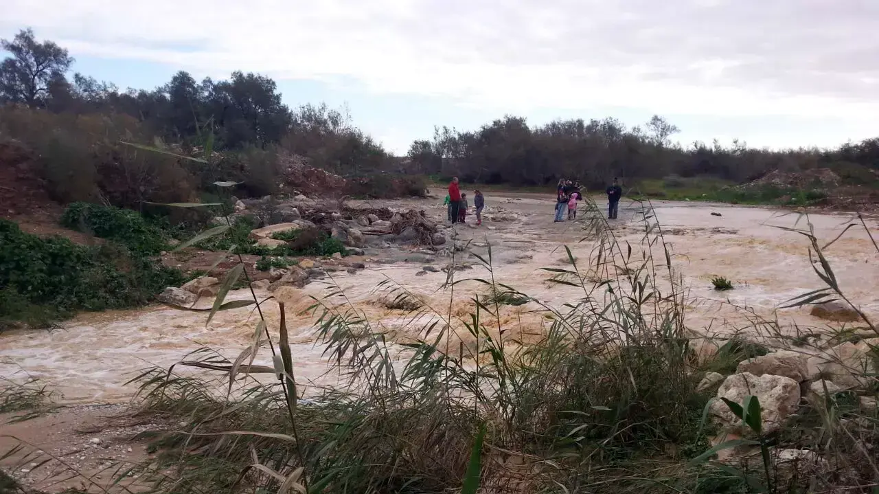 הצפות בנחל צאלים, 10 בינואר 2015 הצפות בנחל צאלים, 10 בינואר 2015