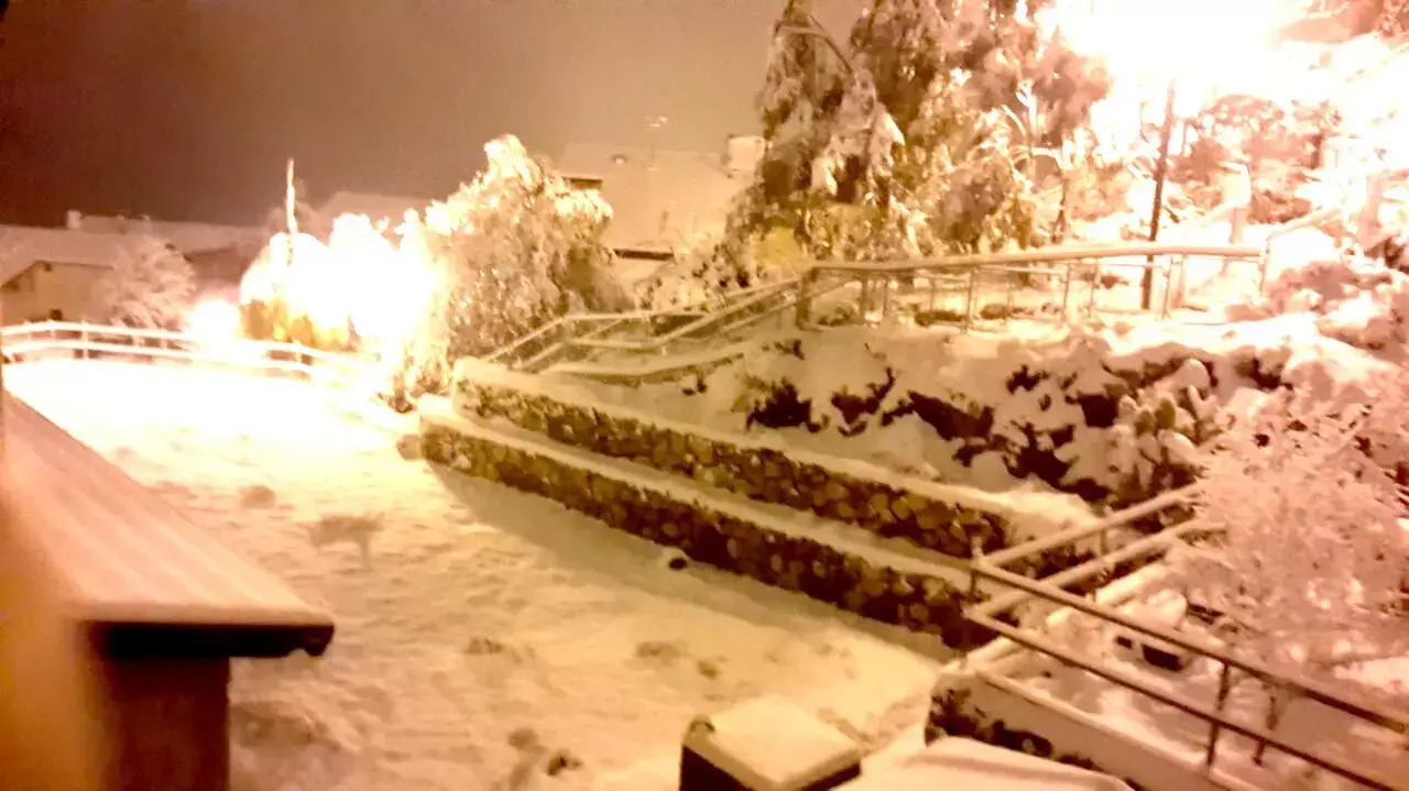 שלג במטולה, ינואר 2015 שלג במטולה, ינואר 2015
