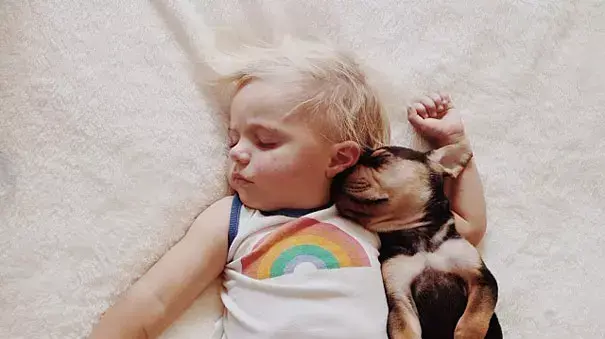 Naptime With Theo and Beau - צילומים מתוך הספר