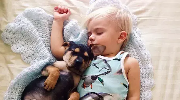 Naptime With Theo and Beau - צילומים מתוך הספר