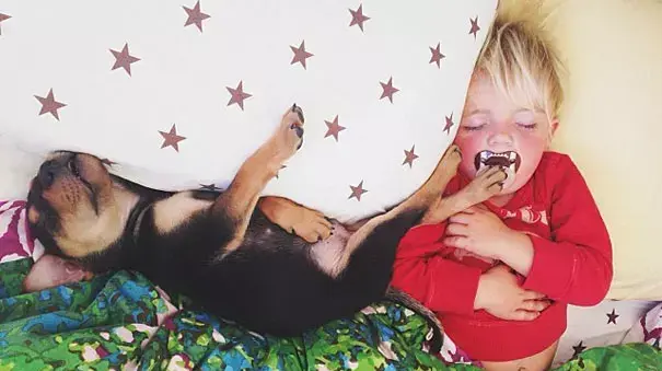 Naptime With Theo and Beau - צילומים מתוך הספר