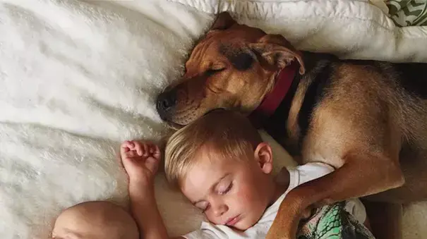 Naptime With Theo and Beau - צילומים מתוך הספר
