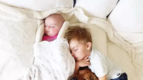 Naptime With Theo and Beau - צילומים מתוך הספר