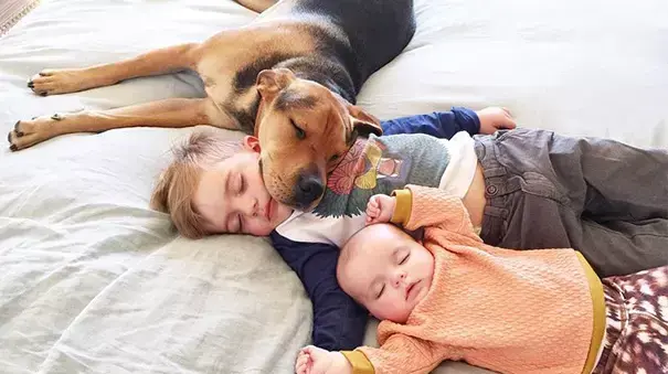 Naptime With Theo and Beau - צילומים מתוך הספר