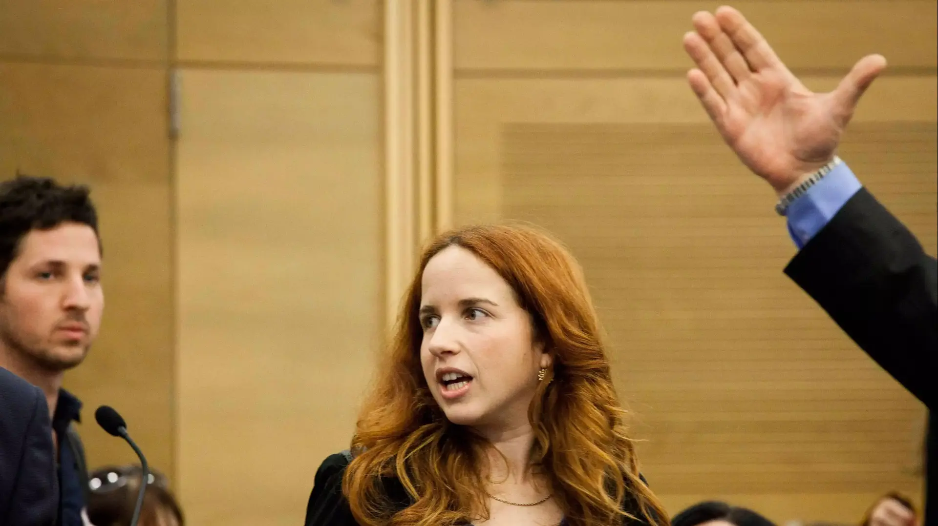סתיו שפיר בקדנציה הראשונה בכנסת סתיו שפיר בקדנציה הראשונה בכנסת