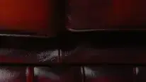 גוונים של אפור גוונים של אפור