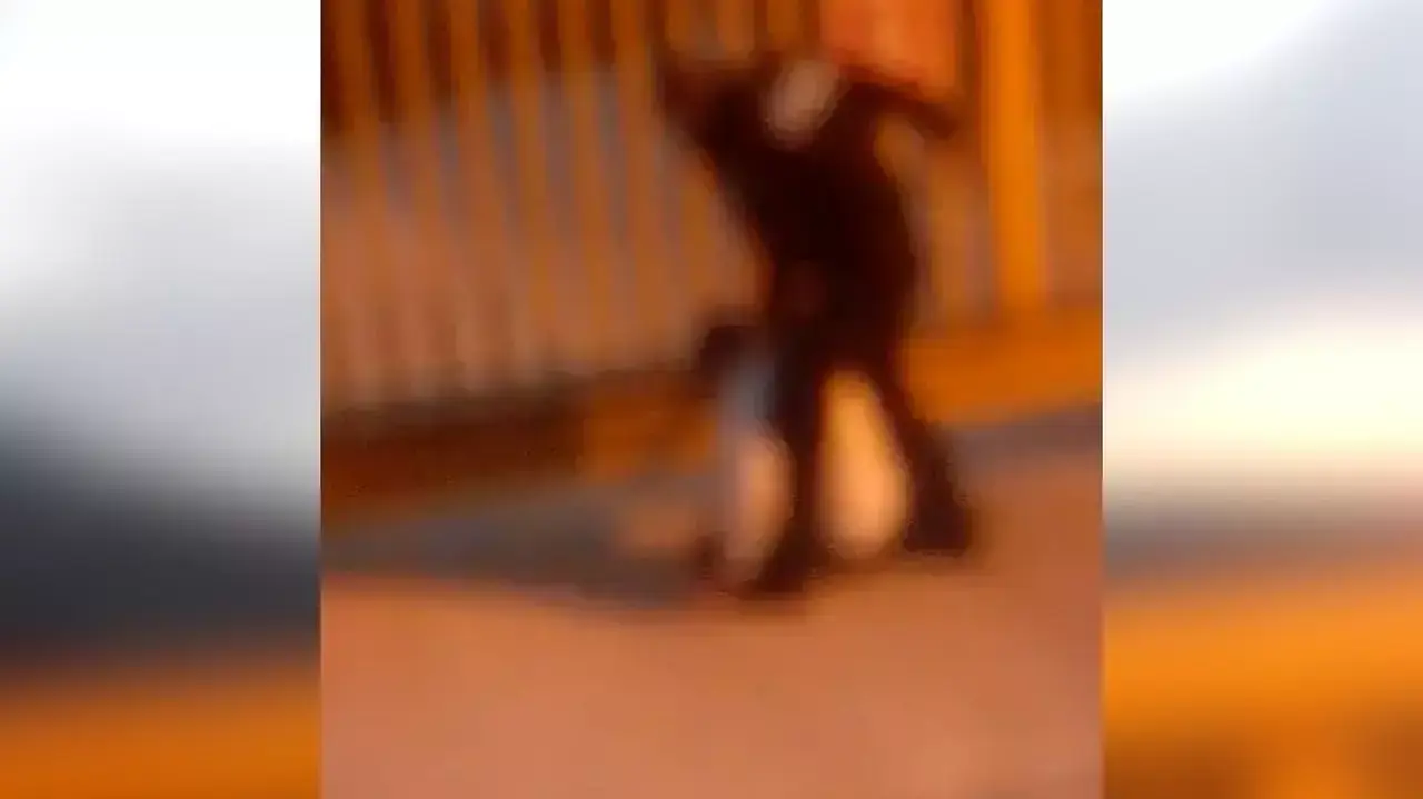 סייר לא אפשר לשוטר להיכנס ליישוב ונעצר באלימות סייר לא אפשר לשוטר להיכנס ליישוב ונעצר באלימות