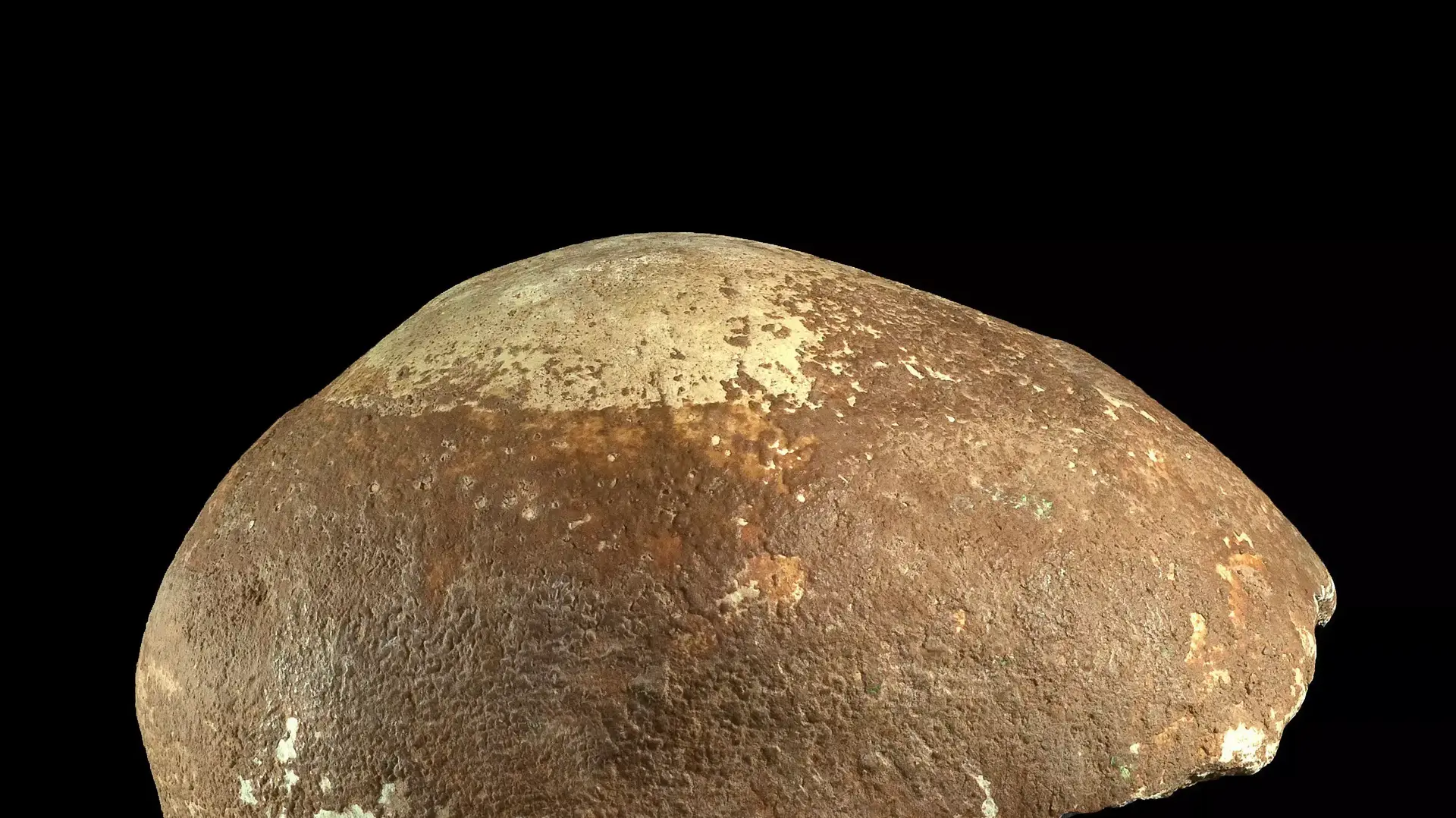 מערת המנות, גולגולת. ינואר 2015