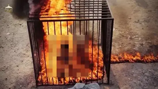 הטייס הירדני מועאז אל-כסאסבה הוצא להורג ע"י דאעש. פברואר 2015 הטייס הירדני מועאז אל-כסאסבה הוצא להורג ע"י דאעש. פברואר 2015