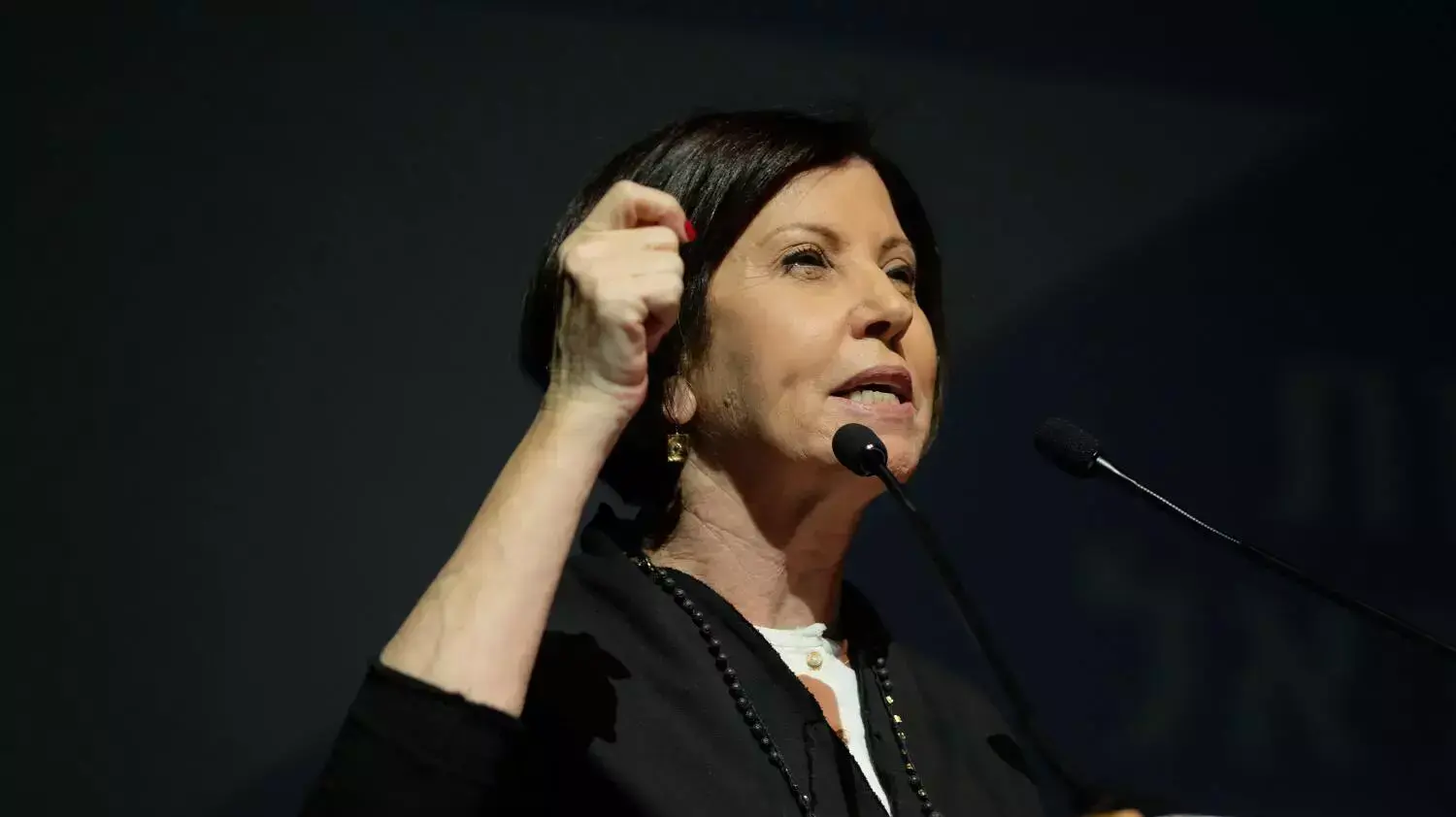 יו"ר מרצ זהבה גלאון בכנס ראשי המפלגות באוניברסיטת תל אביב. פברואר 2015 יו"ר מרצ זהבה גלאון בכנס ראשי המפלגות באוניברסיטת תל אביב. פברואר 2015