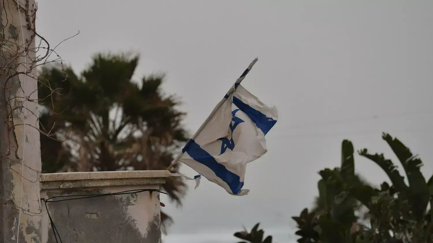 רוחות עזות ליד הים, יפו. פברואר 2015 רוחות עזות ליד הים, יפו. פברואר 2015