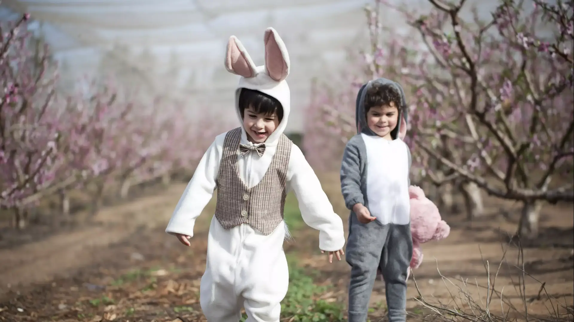 פורים 2015