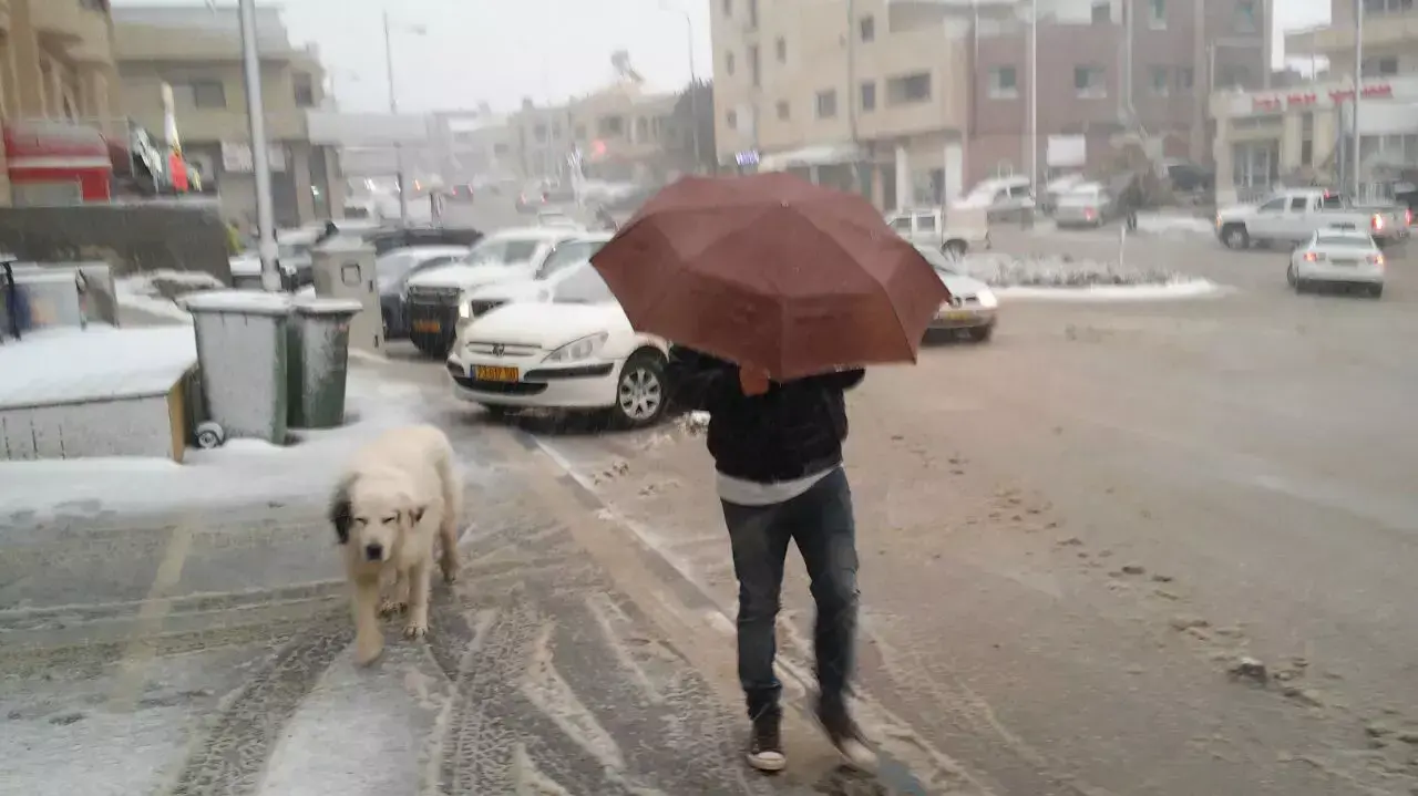 שלג במג'דל שאמס. פברואר 2015 שלג במג'דל שאמס. פברואר 2015